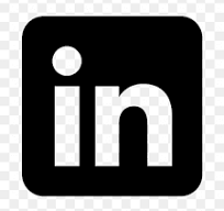 LinkedIn Icon